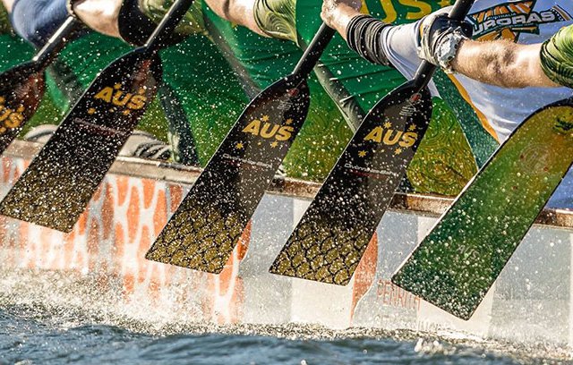 left side of dragon boat with oars rowing during a race